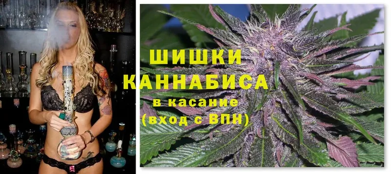 shop наркотические препараты  Нолинск  Канабис марихуана 